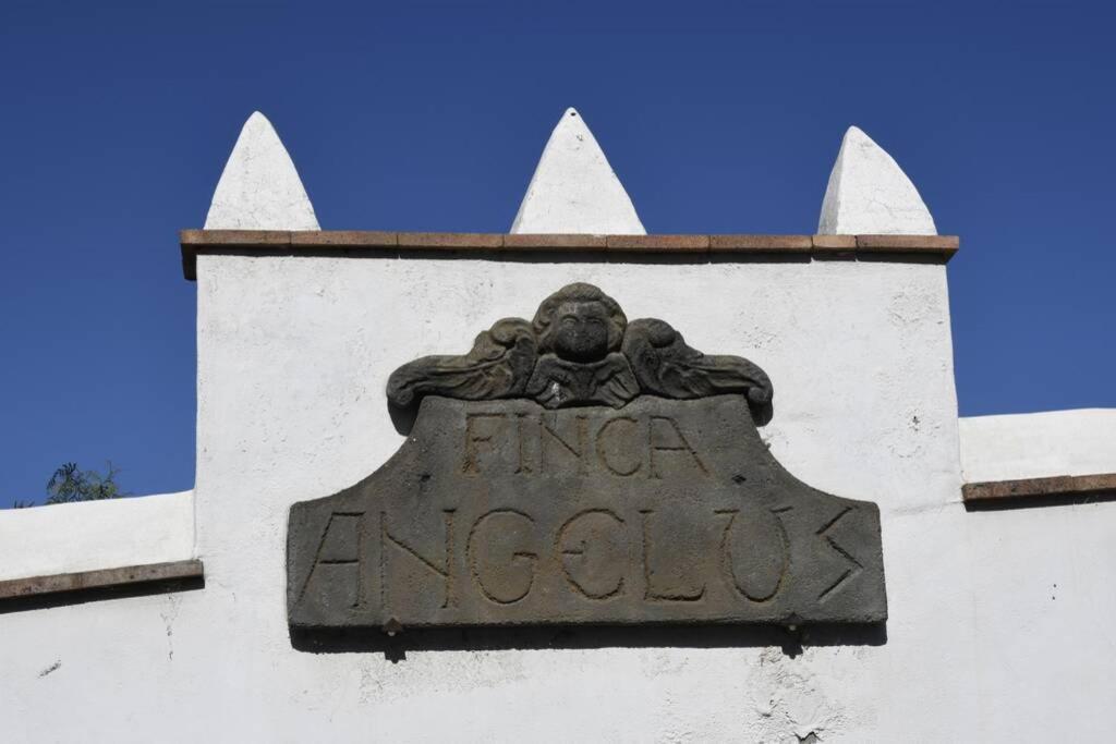 Finca Angelus Apartment Syrah With Amazing Views La Matanza De Acentejo 外观 照片