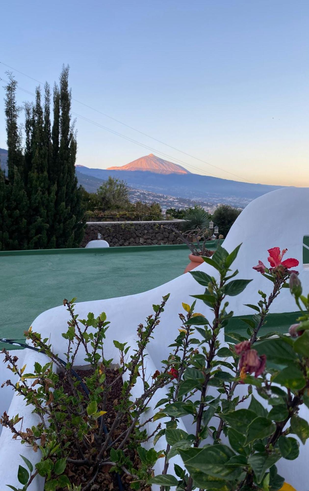 Finca Angelus Apartment Syrah With Amazing Views La Matanza De Acentejo 外观 照片