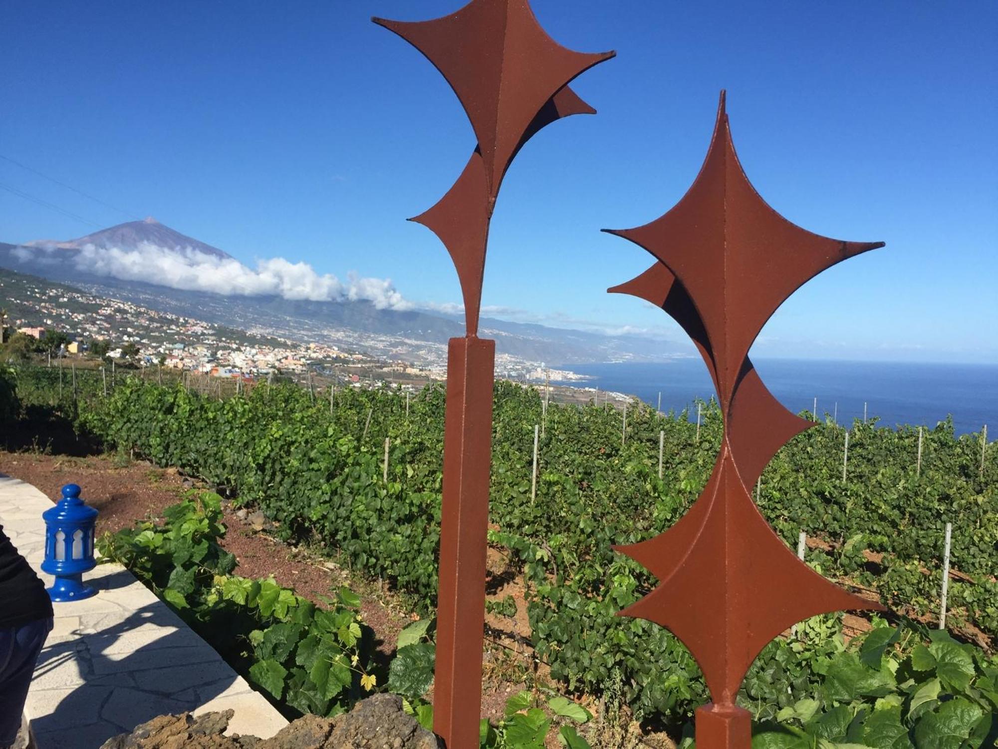 Finca Angelus Apartment Syrah With Amazing Views La Matanza De Acentejo 外观 照片